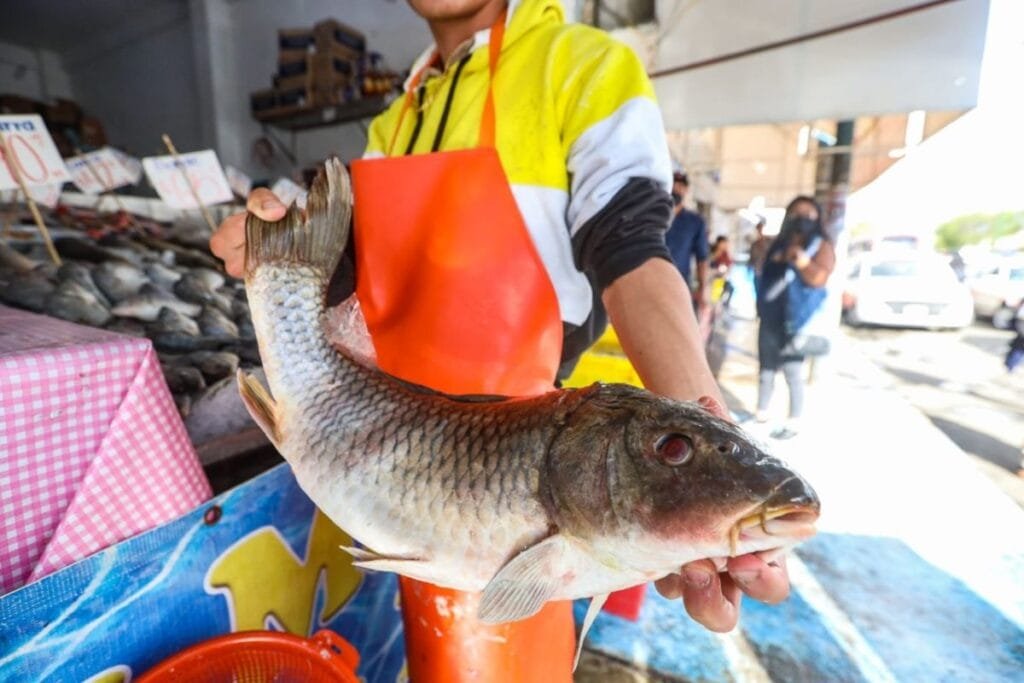 Comprar mariscos frescos en Cuaresma es importante para cuidar a la familia