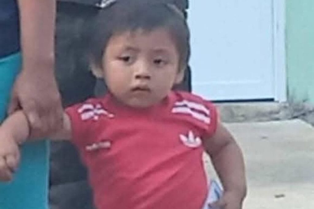 Un niño de 2 años desapareció en Yaxcabá; autoridades y vecinos realizan intensa búsqueda en la zona